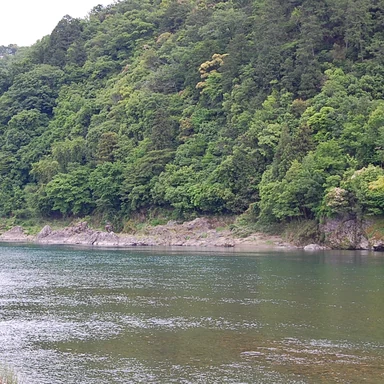荒削りの鉈彫りが残る円空仏（部分）