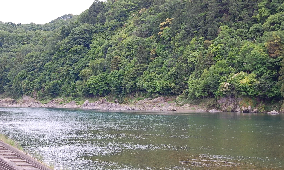 円空ゆかりの地・美濃を流れる長良川の清流と、新緑の山なみ